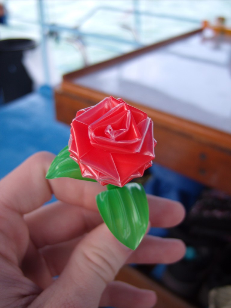 A rose made by one of our canoe guides